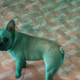 Illustration for article titled No, its not your screen, these dogs are definitely green